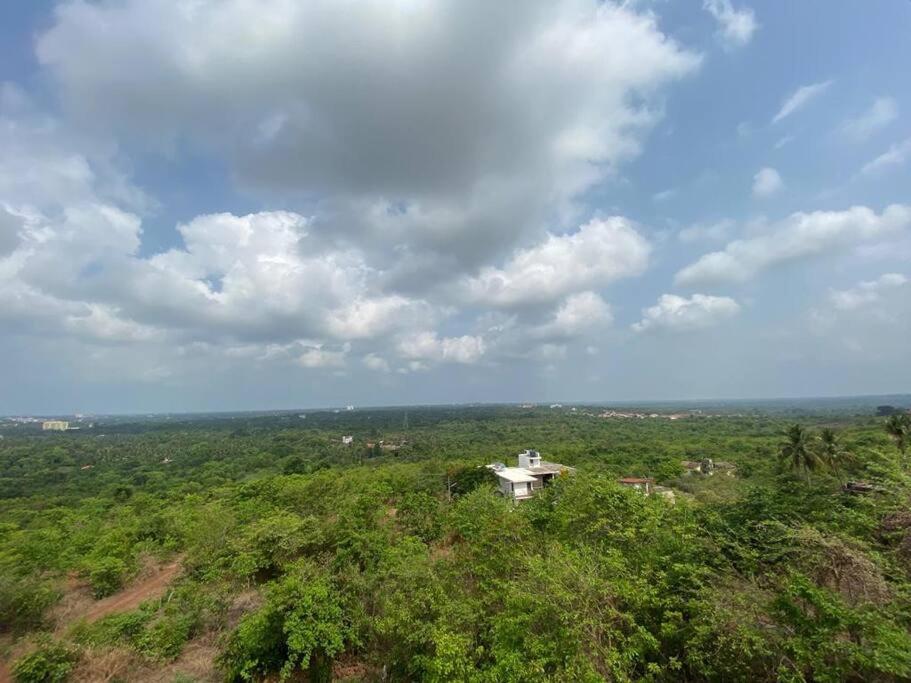 AR Springfields(1), amidst lush green scenic view - Housity
