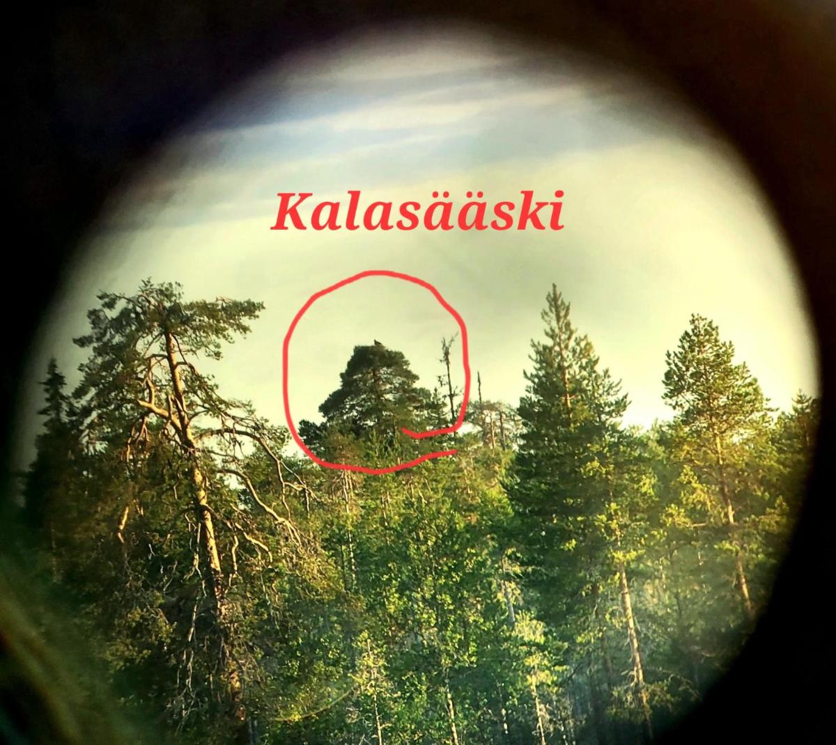 Salen Saunamökki - Housity