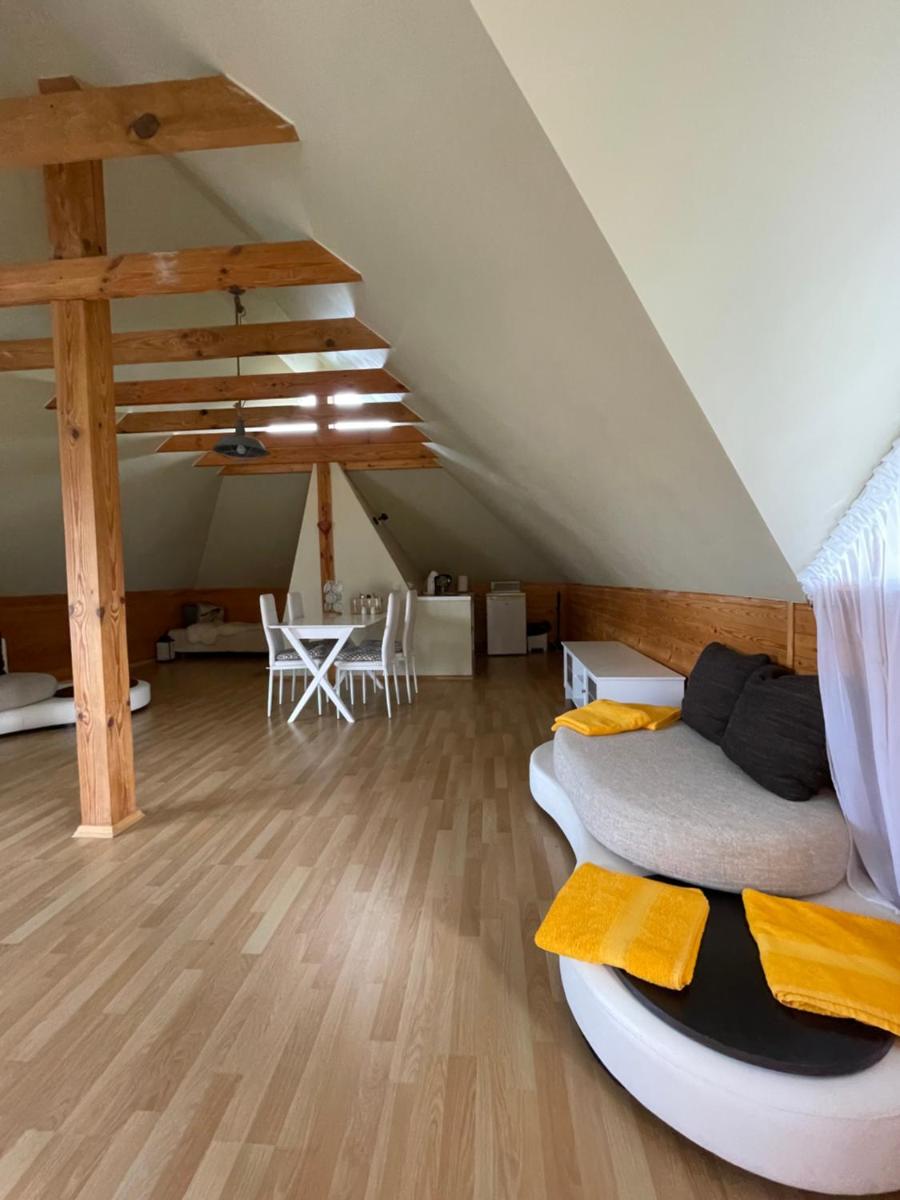 Guest house at Niedru SPA with pool and hottub - Housity
