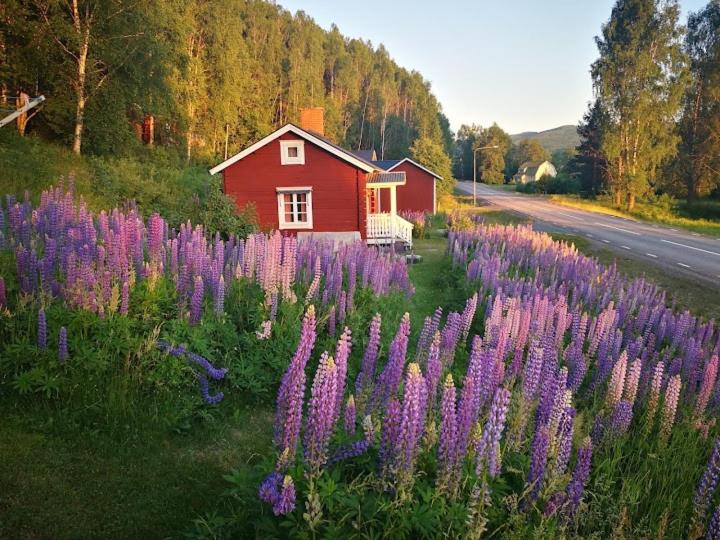 Suitetrails - Lilla Huset