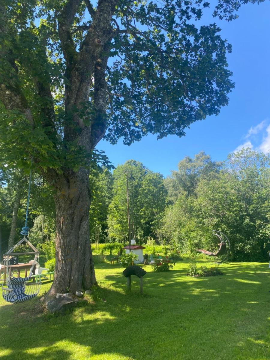 Private Hiiumaa Cottage plus Sauna - Housity
