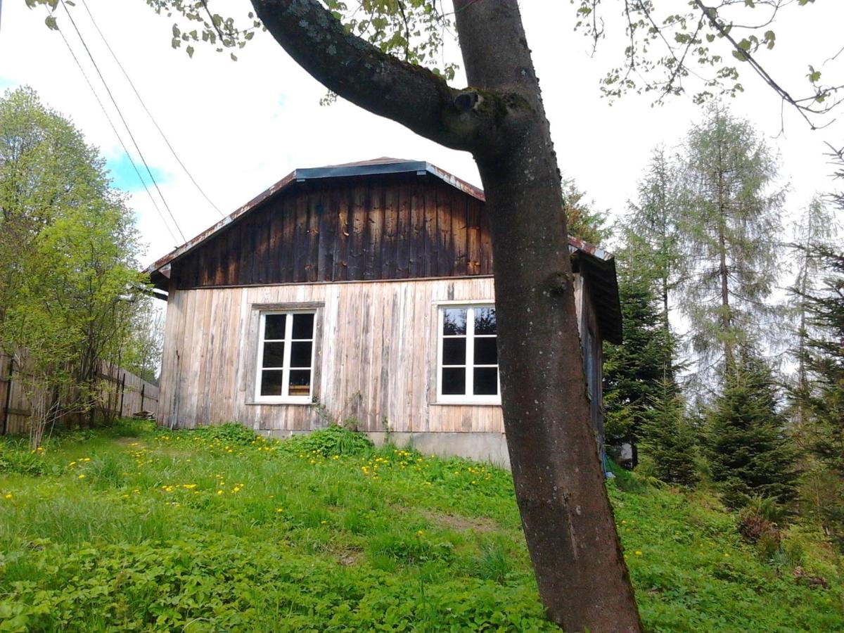 Chata na Szlaku - Żłobek - Housity