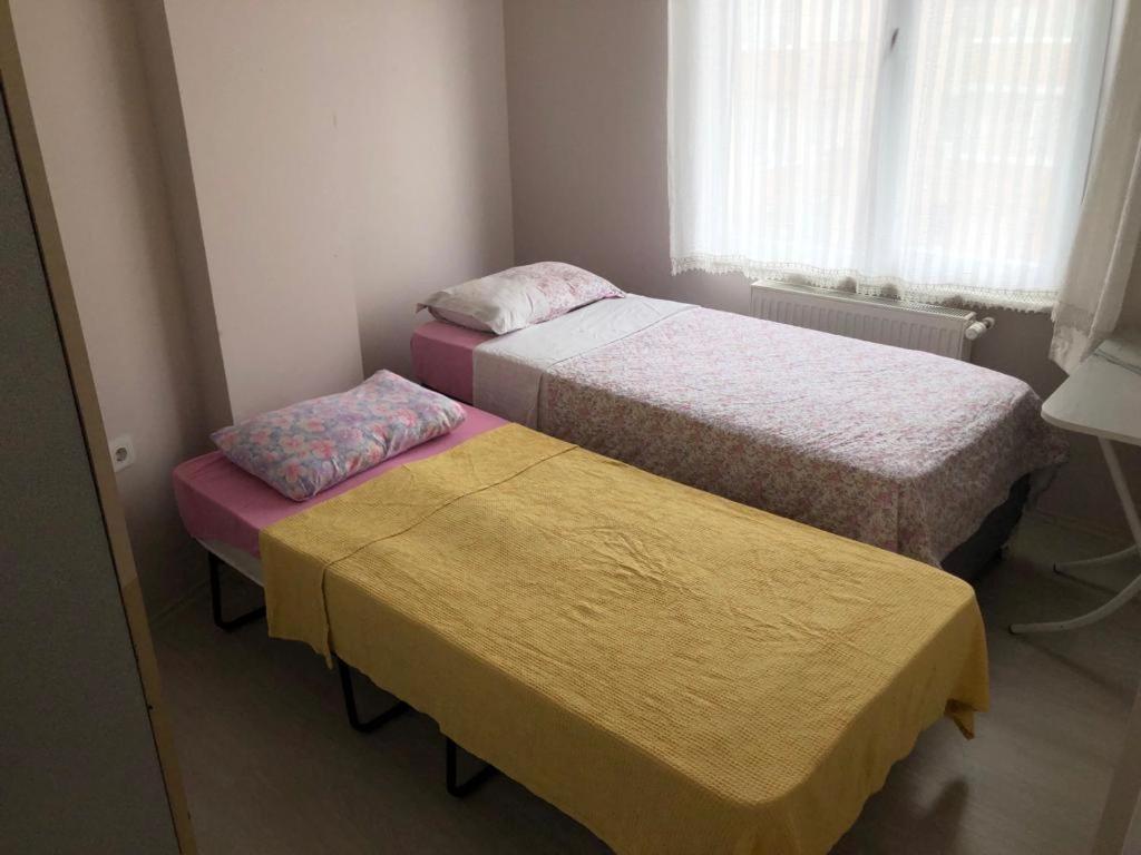 Sinop merkezde yeni binada 2+1 daire - Housity