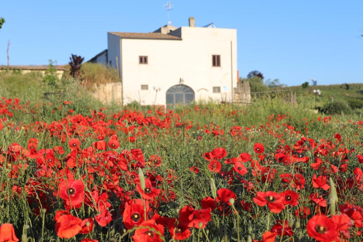 Masseria Agriturismo Moschella - Housity