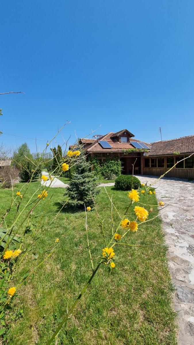 Hobbit eco house -Ždrelo - Housity