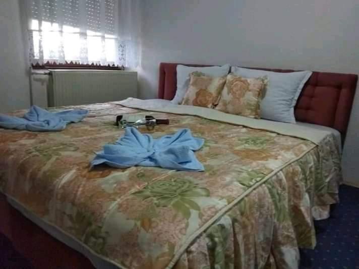 Villa Nikola Ohrid - Housity