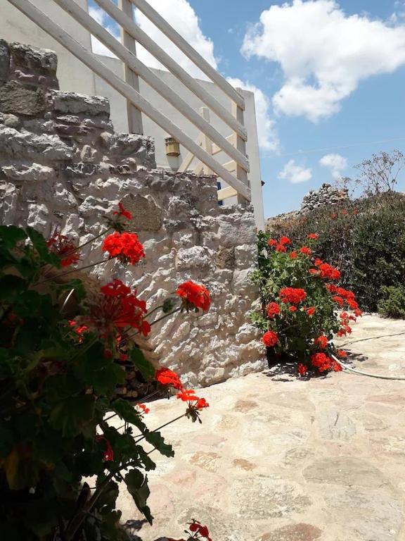 STONE HOUSE - Housity