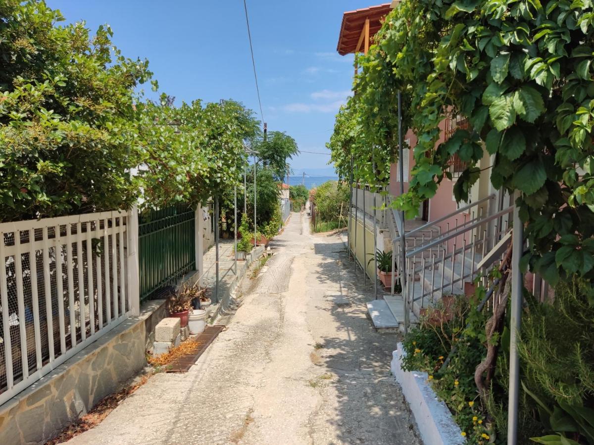 The Lemon House - Housity