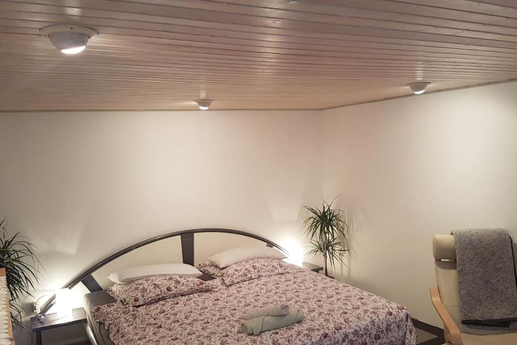 Großes Zimmer in Souterrain - Housity