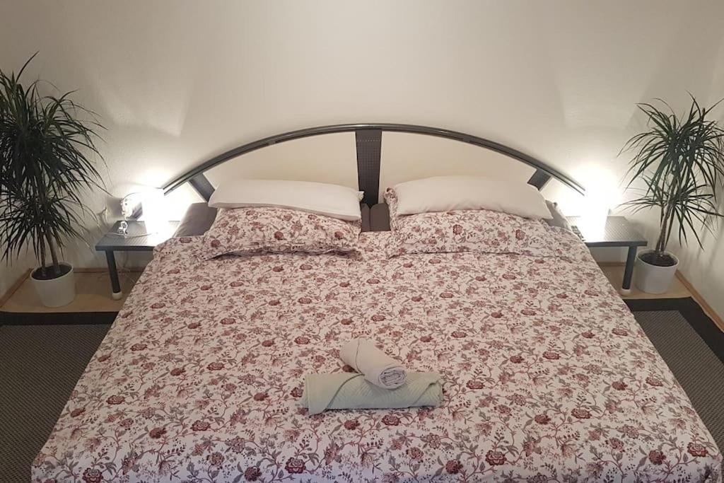 Großes Zimmer in Souterrain - Housity