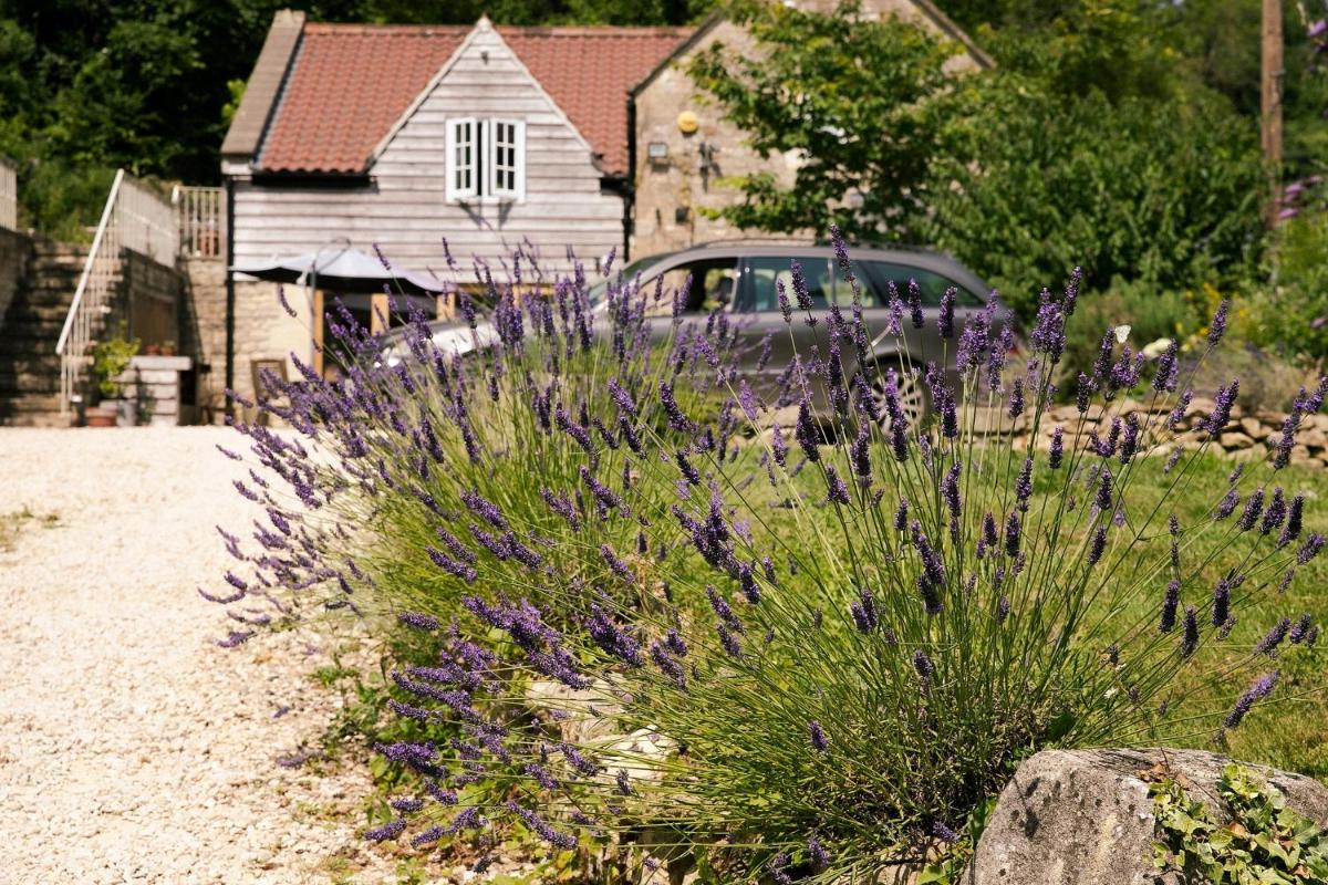 Beautiful cottage near Bath - Housity