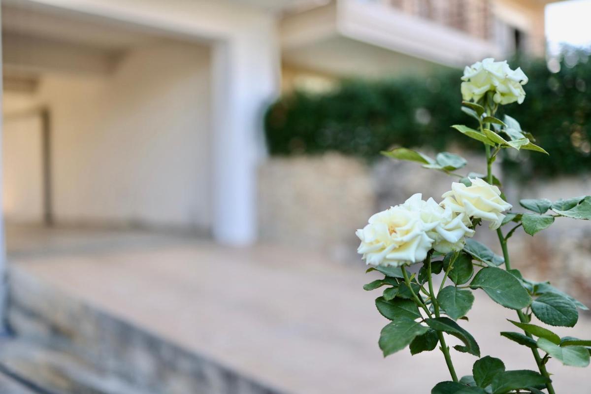 Μικρό διαμέρισμα της Αγγελικής με αυλή και parking - Housity