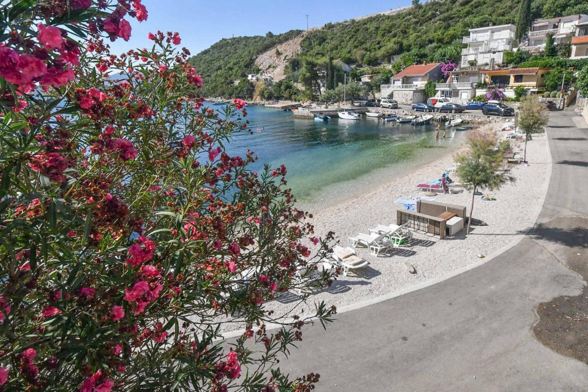 Apartmani Dora - Housity