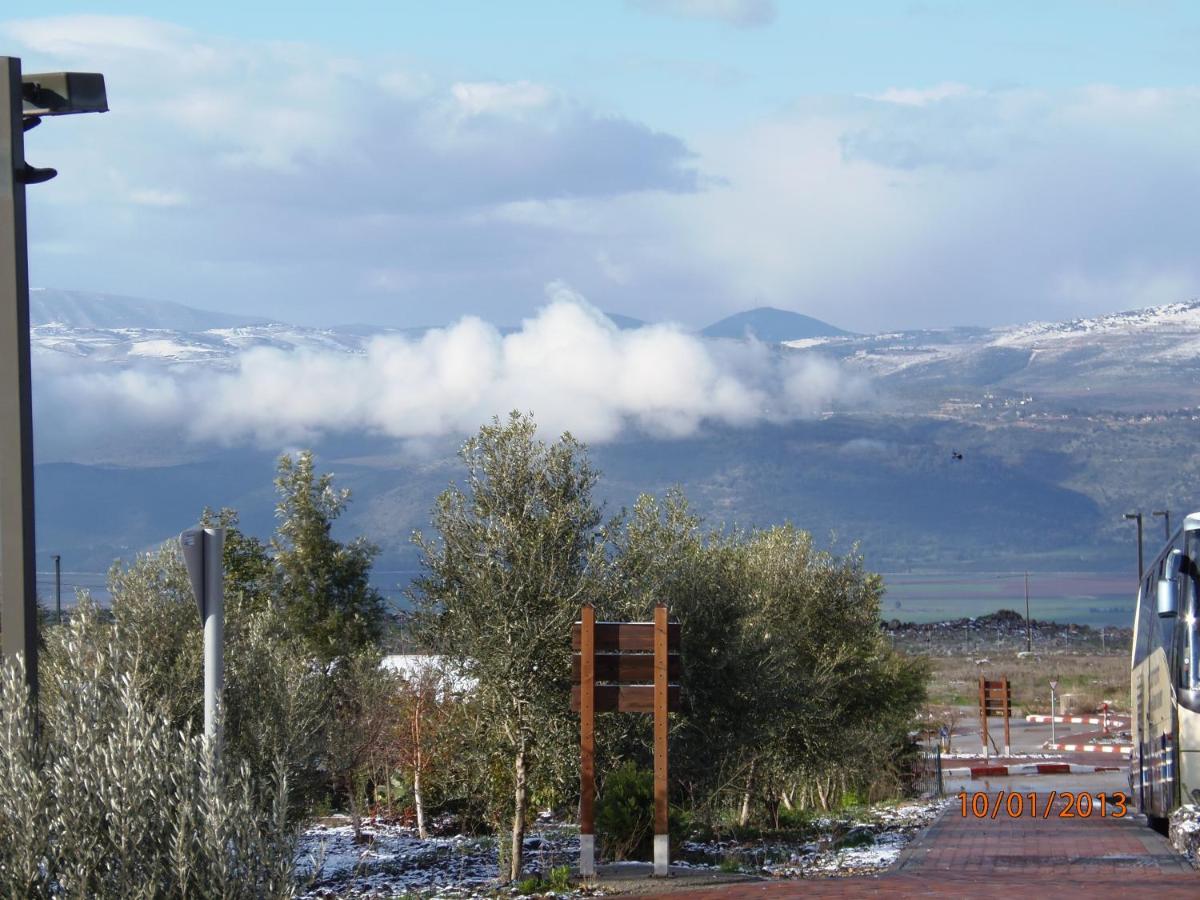 Biktot Hamatzok - Eucalyptus - Housity