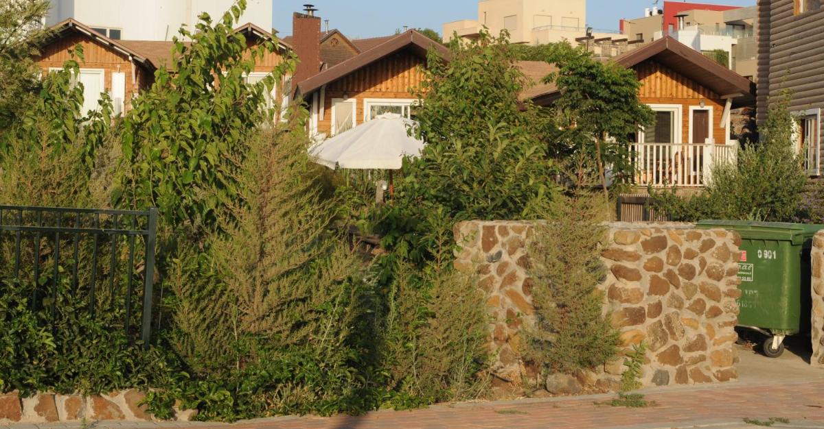 Biktot Hamatzok - Eucalyptus - Housity