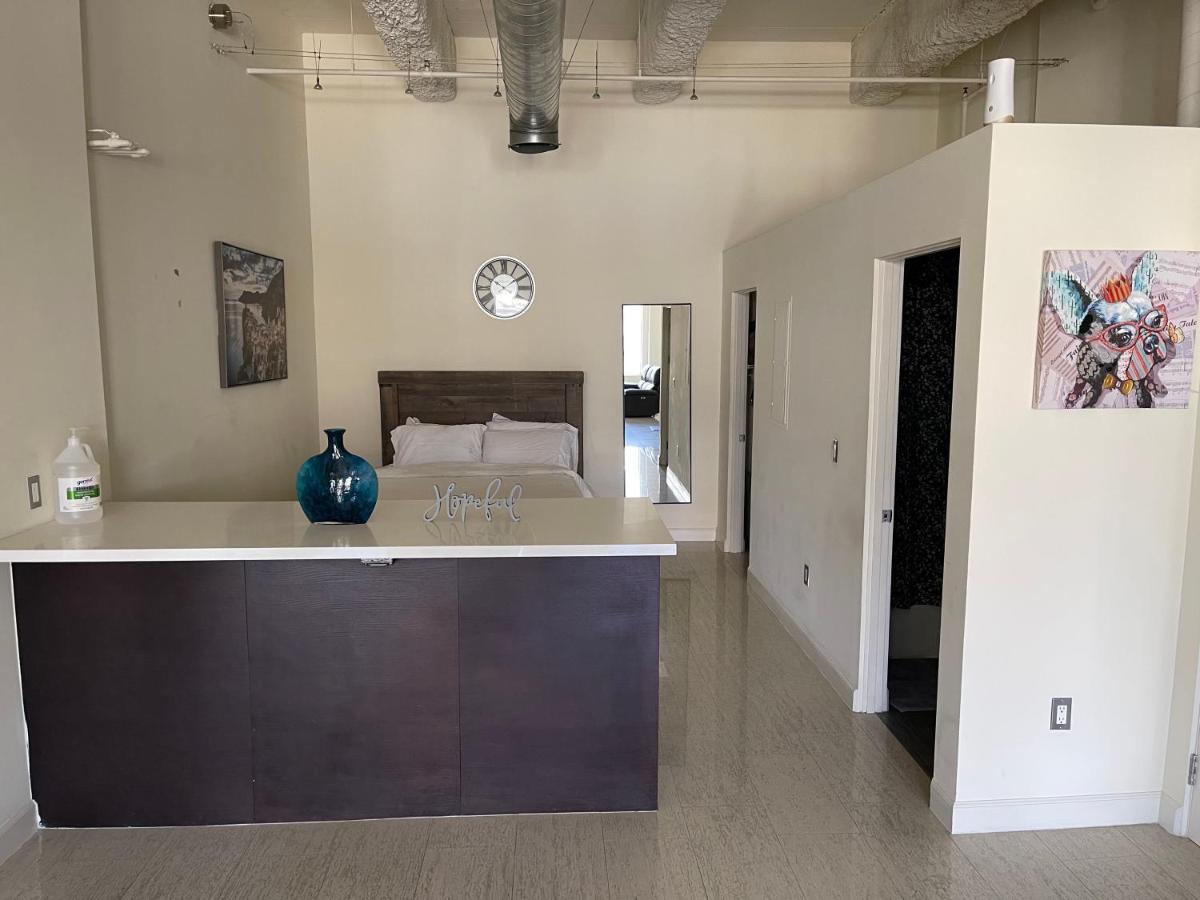 luxury spacious downtown loft - Housity