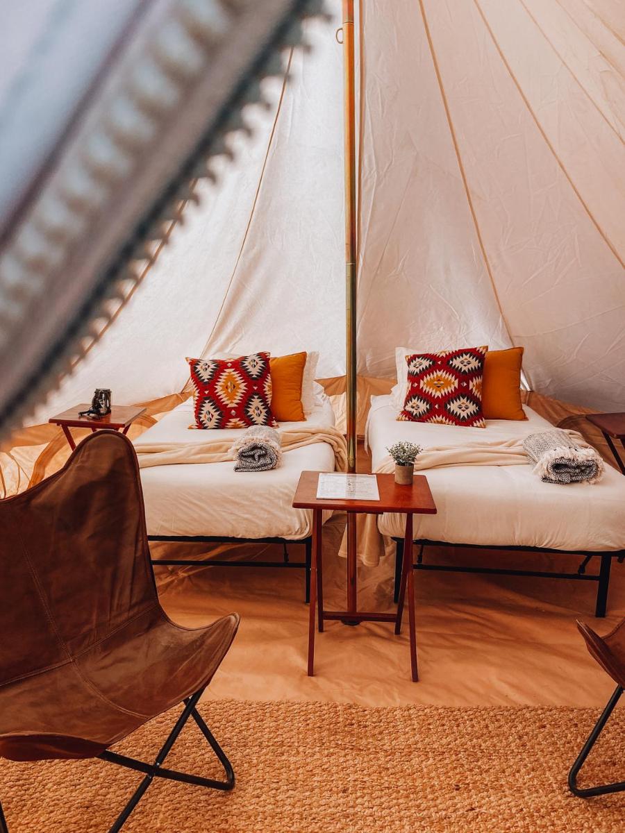 Wander Camp Olympic - Housity