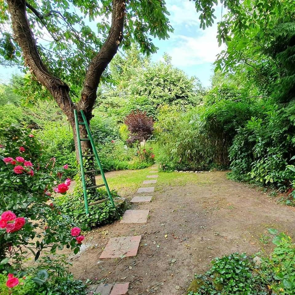 Suitetrails - Maison 3 chambres