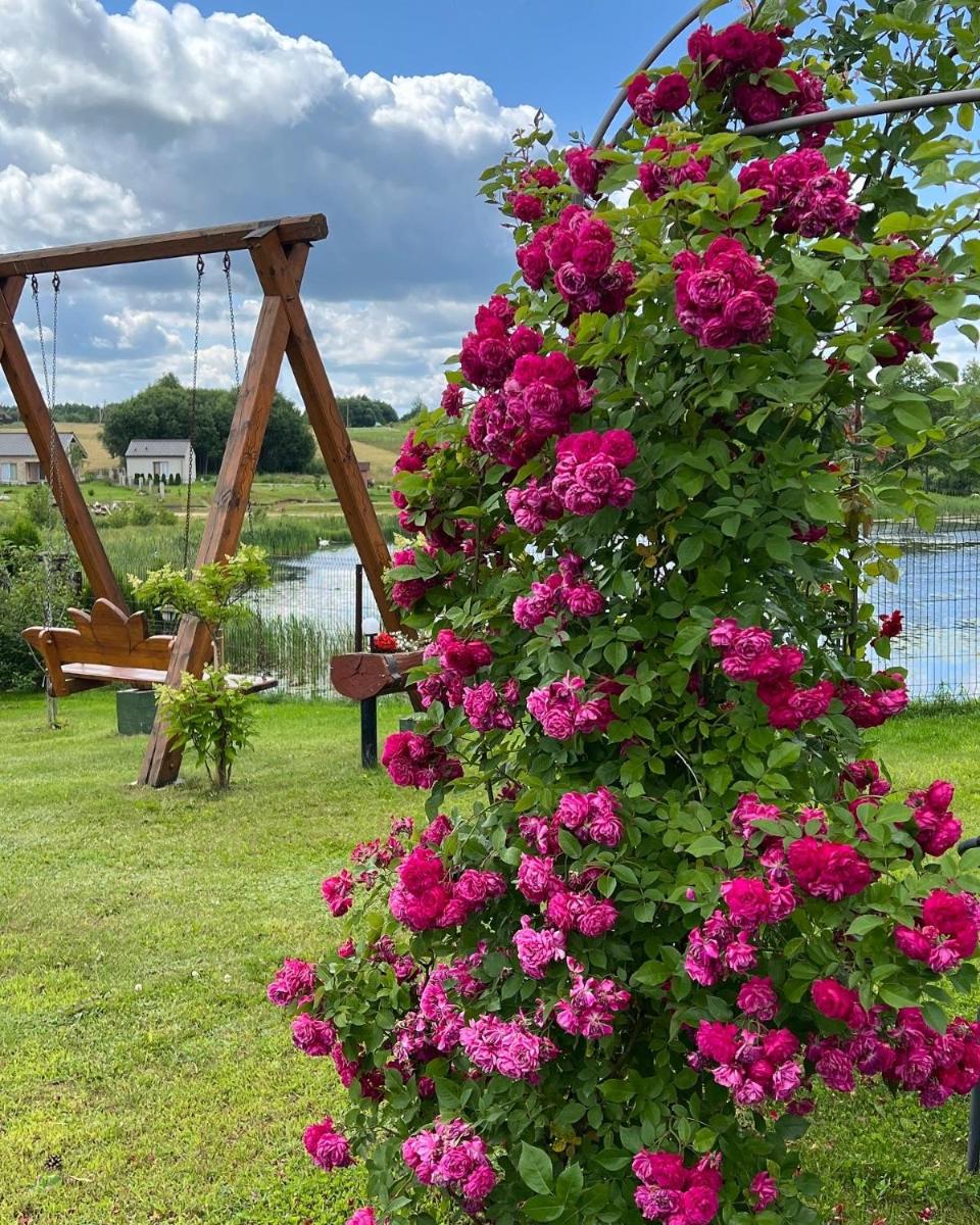 Sodyba Villa Lotus, 25min nuo Vilniaus Oro Uosto - Housity