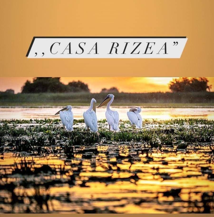 CASA RIZEA - Housity