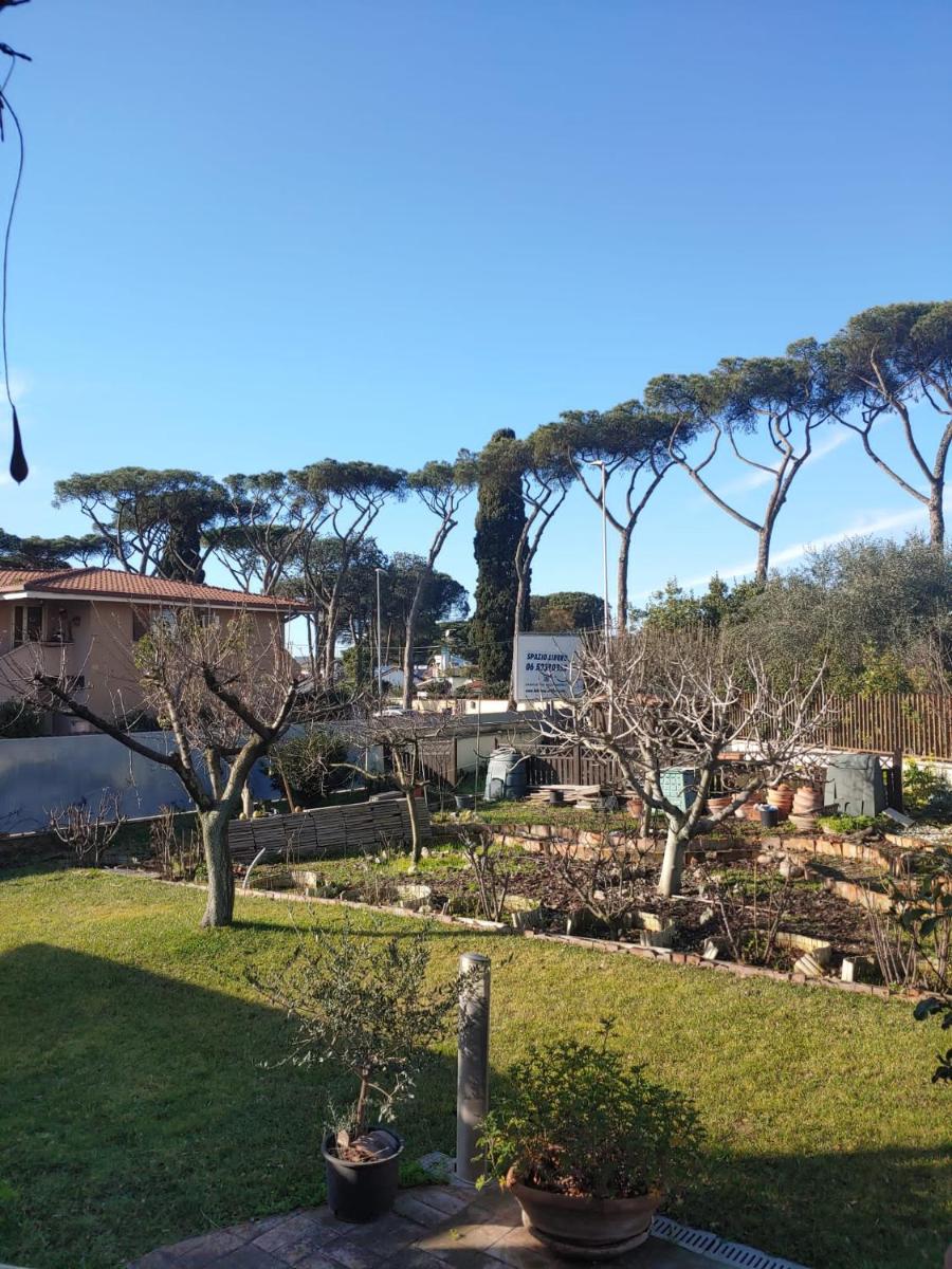Nonna Genoveffa, camere - Housity