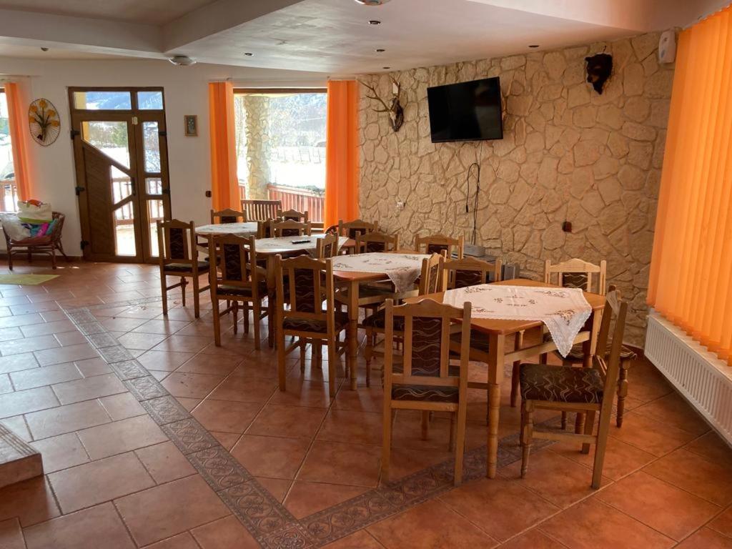 Vila Ianis Bran - Hizvo