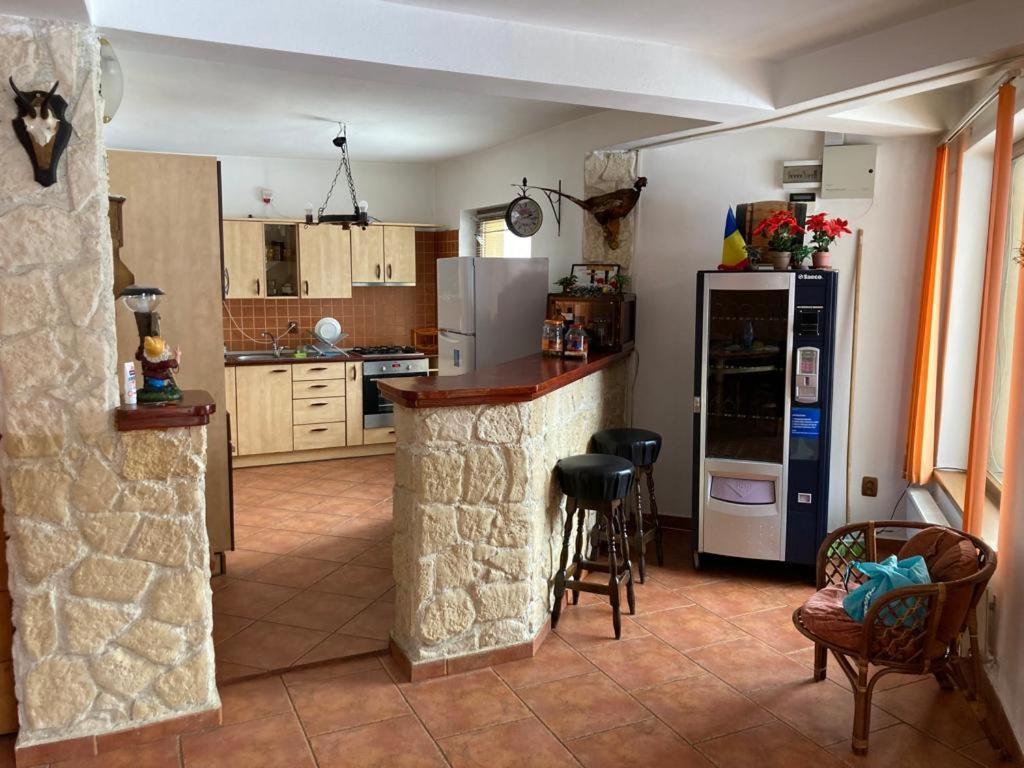 Vila Ianis Bran - Hizvo