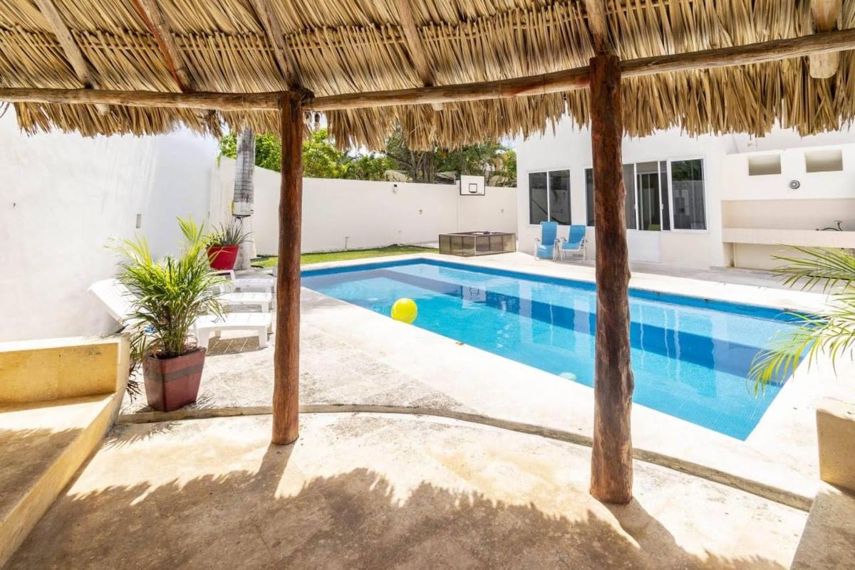 Tropicale, Non-Smoking Studios - Housity