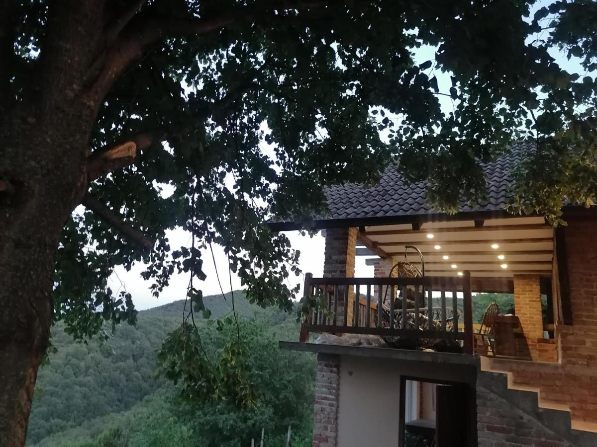Sweet Sky - Housity