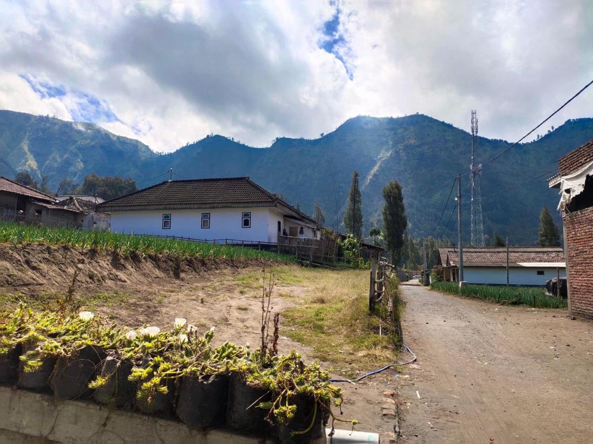 Homestay Wonotoro Asri 4 Gunung Bromo - Housity