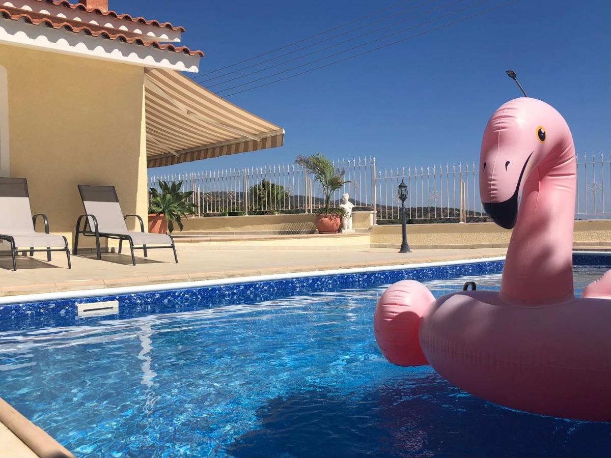 Peyia Palm Villa - Housity
