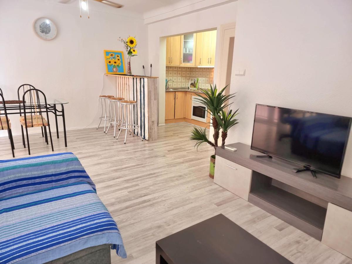 Sunflower Astondoa - Housity