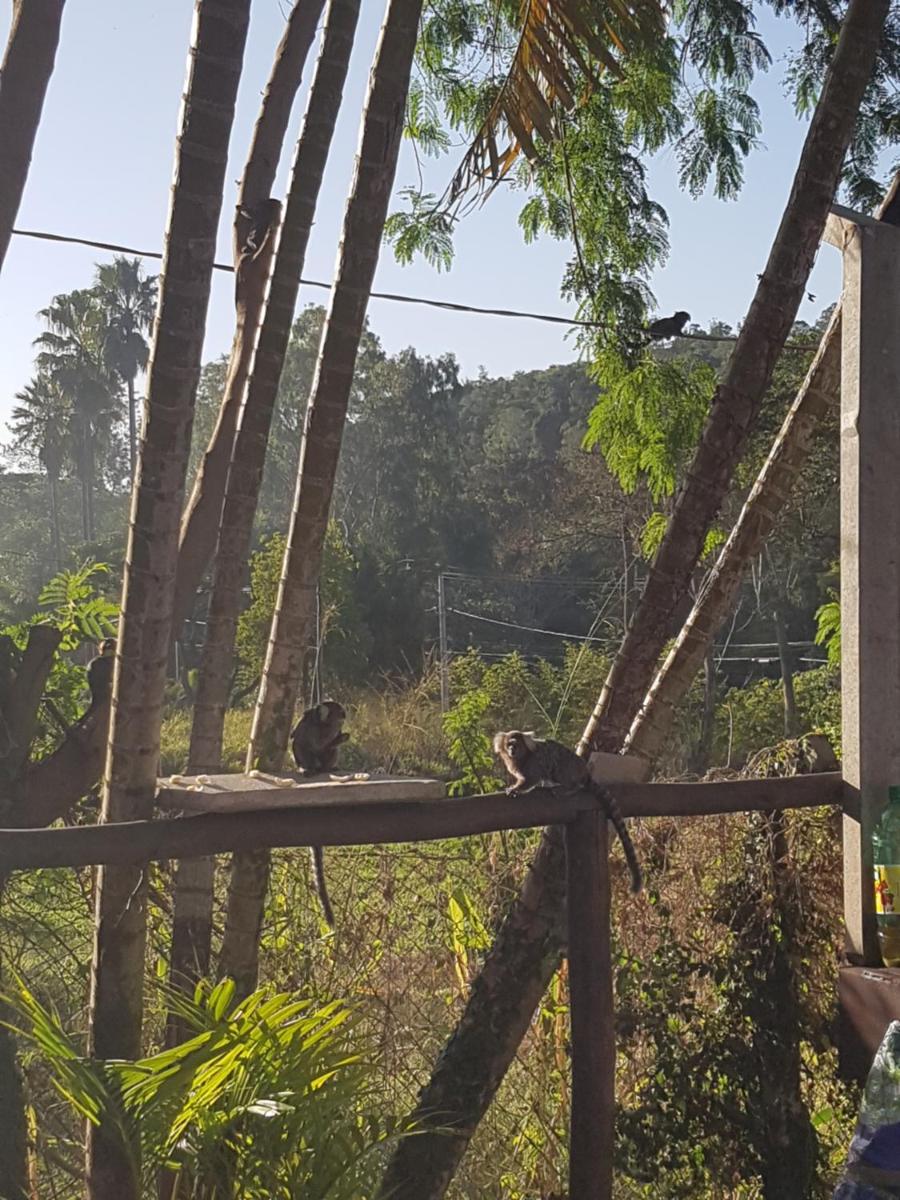 Chácara chalé recanto das árvores em Jaguariuna - Housity