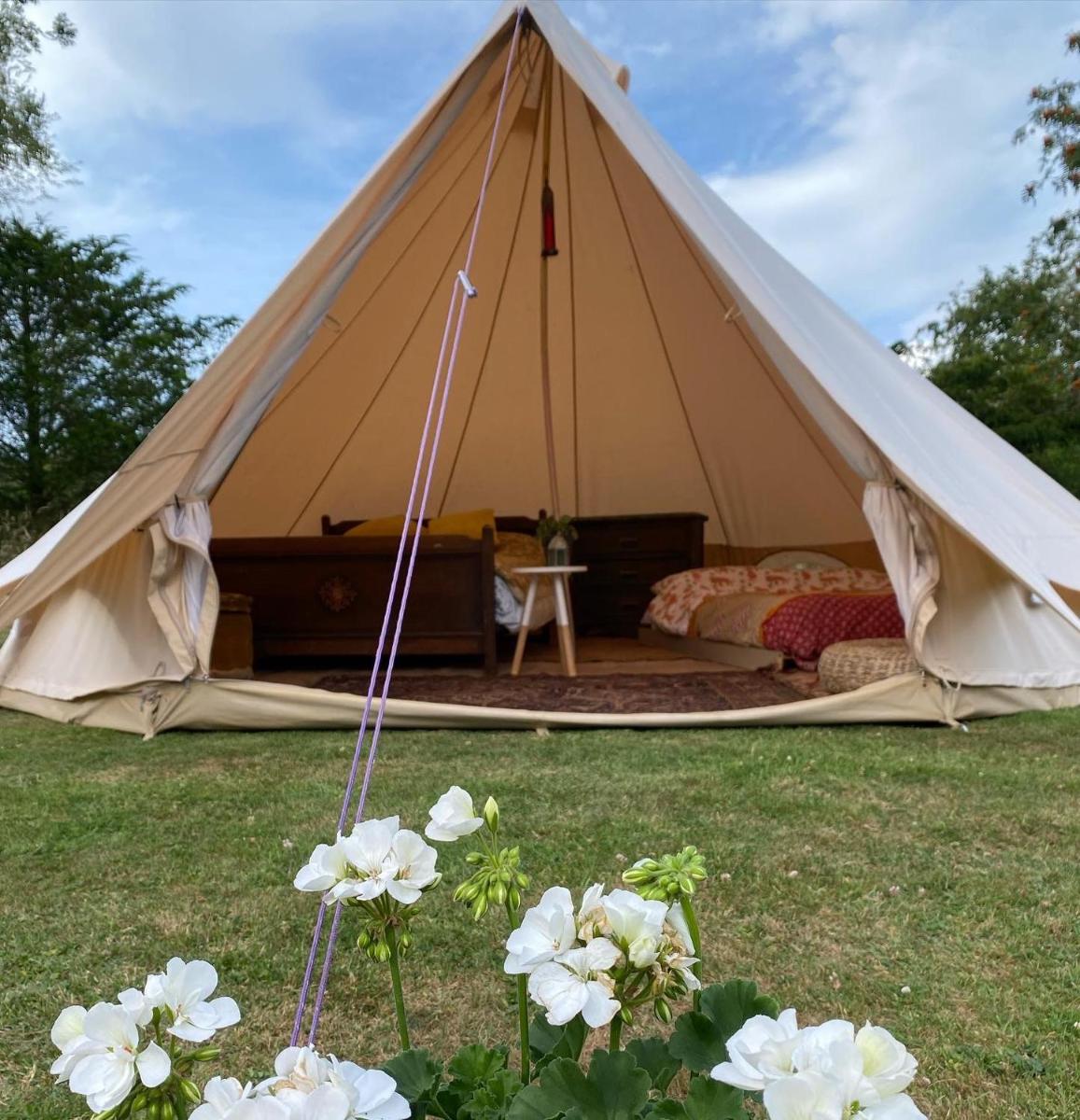 Wild goose campsite - Housity