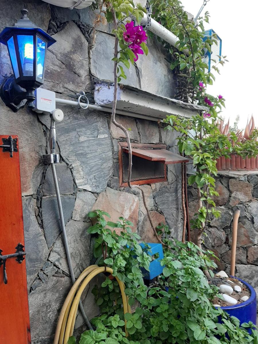 Acusa Seca Silence S Cave Rural House Lic 2278 - Housity