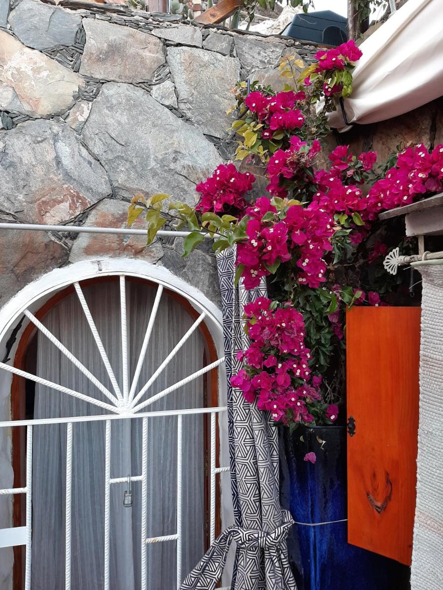 Acusa Seca Silence S Cave Rural House Lic 2278 - Housity