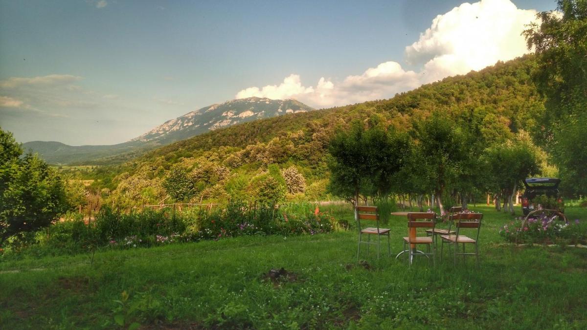 Vila Lapušnja - najam cele vikendice - Housity