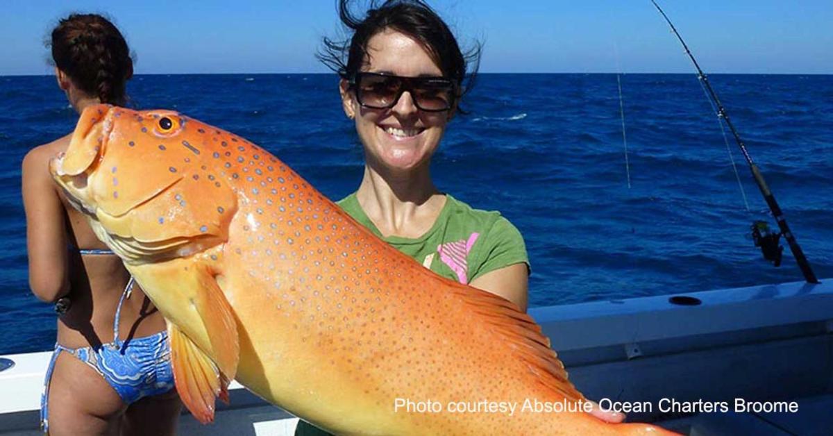 Kirei Pearl Accommodation Broome - Housity