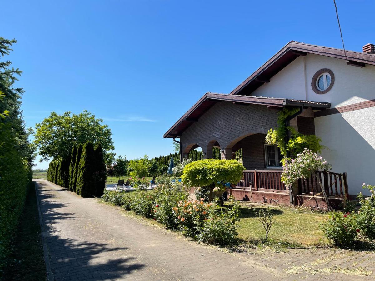 Pool house - Housity