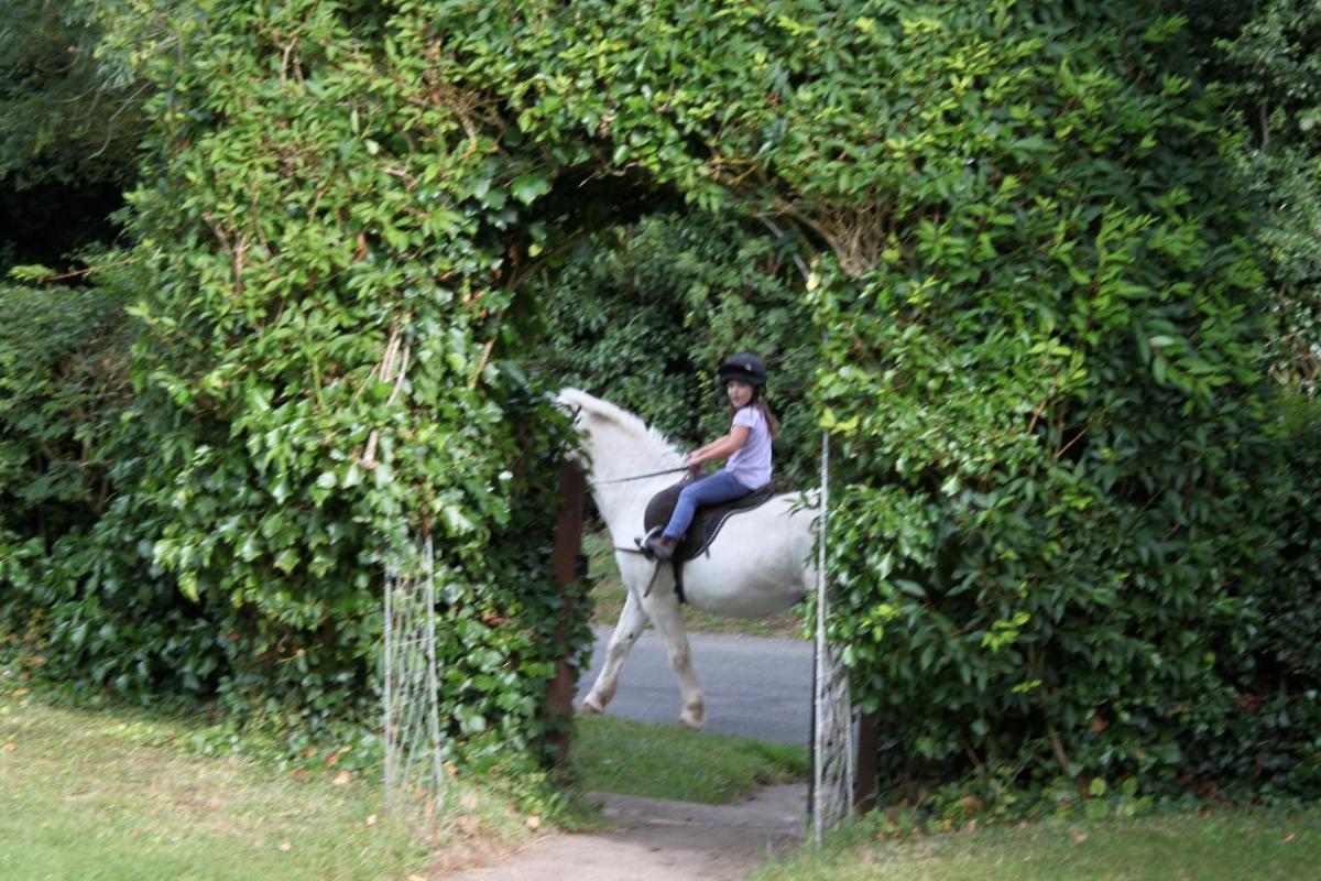 Fosse Farmhouse Holiday Cottages - Housity