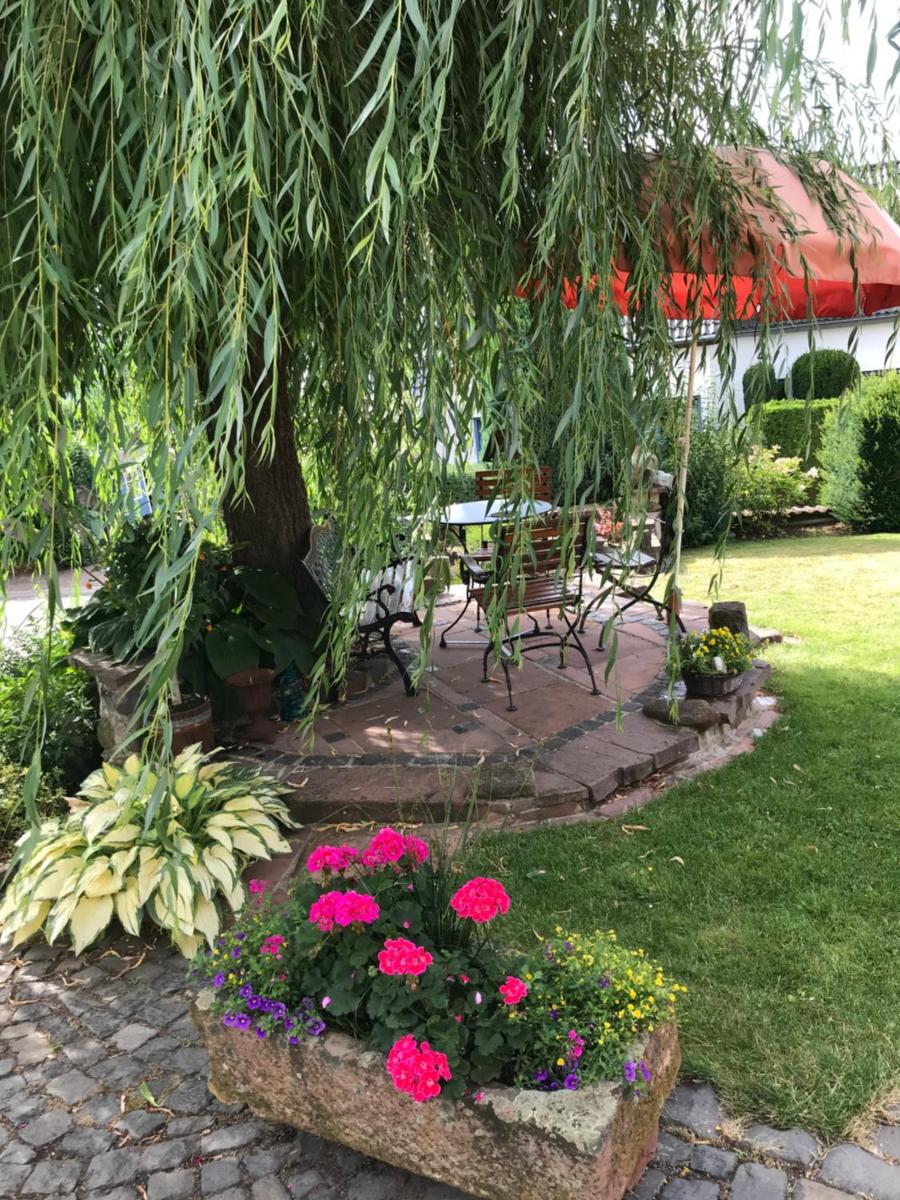 3 Zimmer Loft mit Sauna & Garten in Ortenberg - Housity