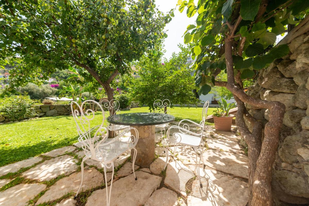 Villa Il Mandorlo with garden and terrace in Forio d'Ischia - Housity
