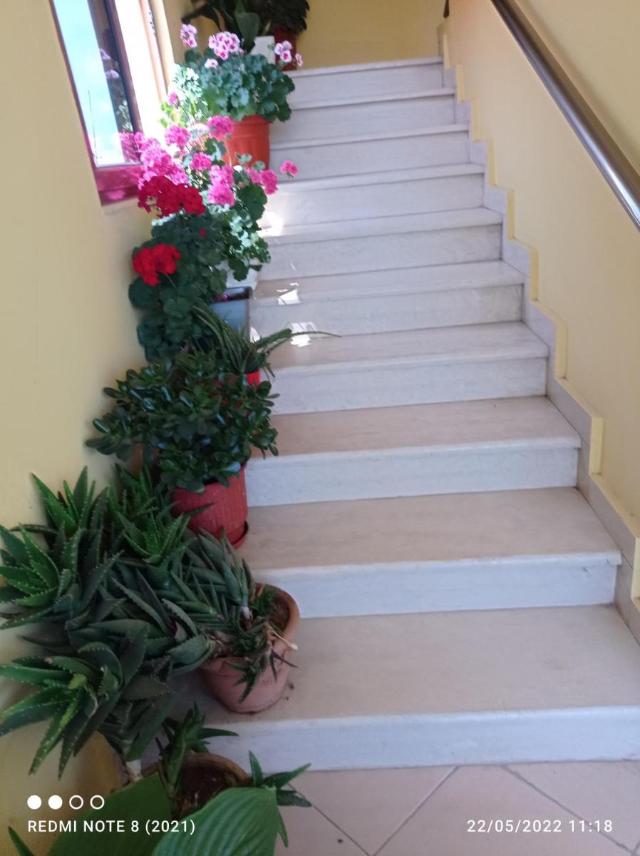 Guesthouse Fatos Biti - Housity
