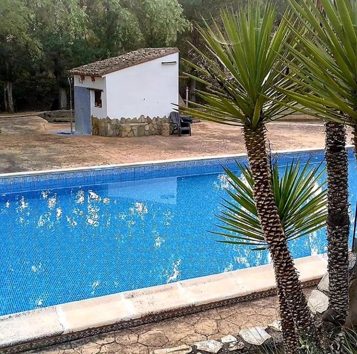Casitas La Purísima Monte - Housity