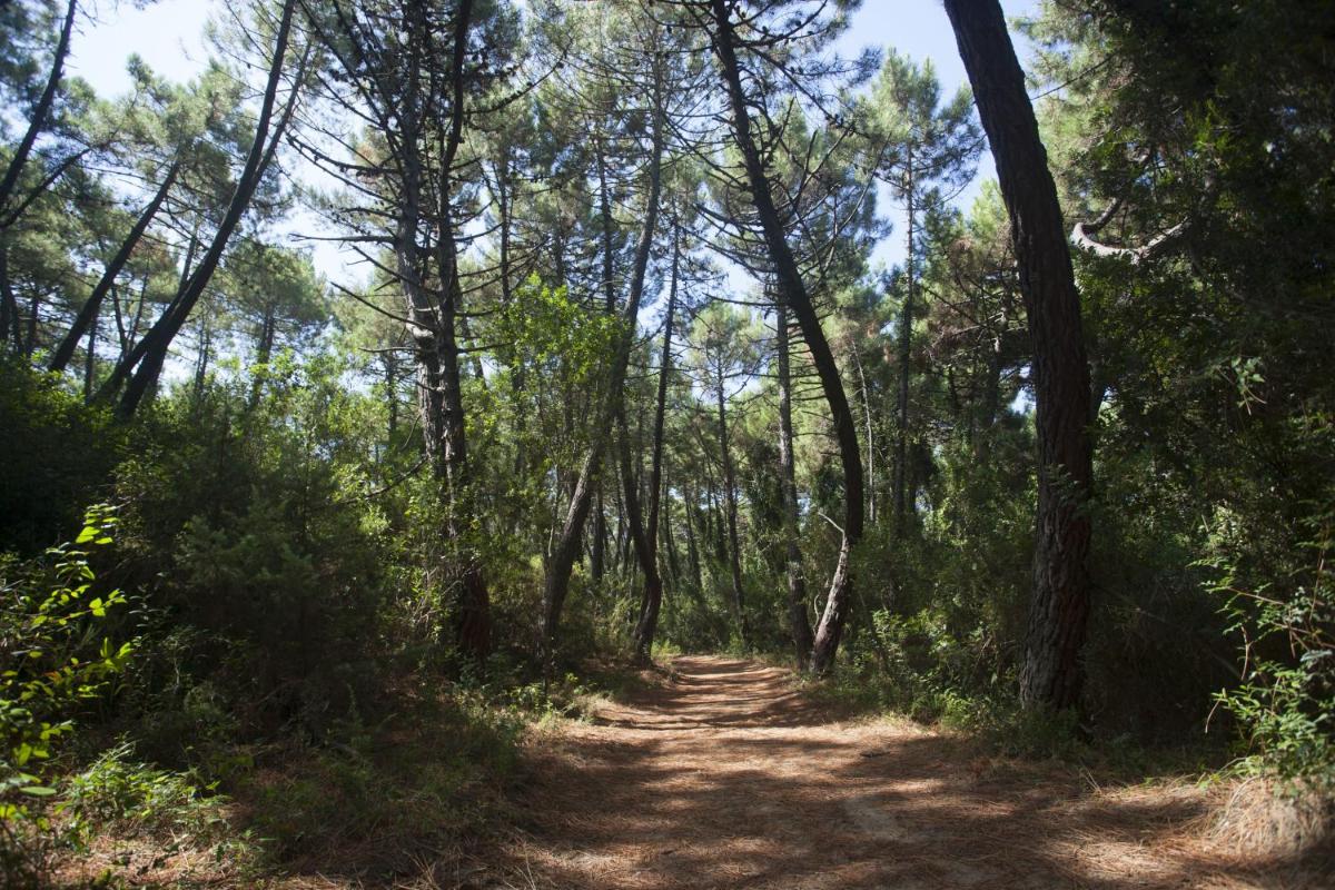 PuntAla Camp & Resort - Housity