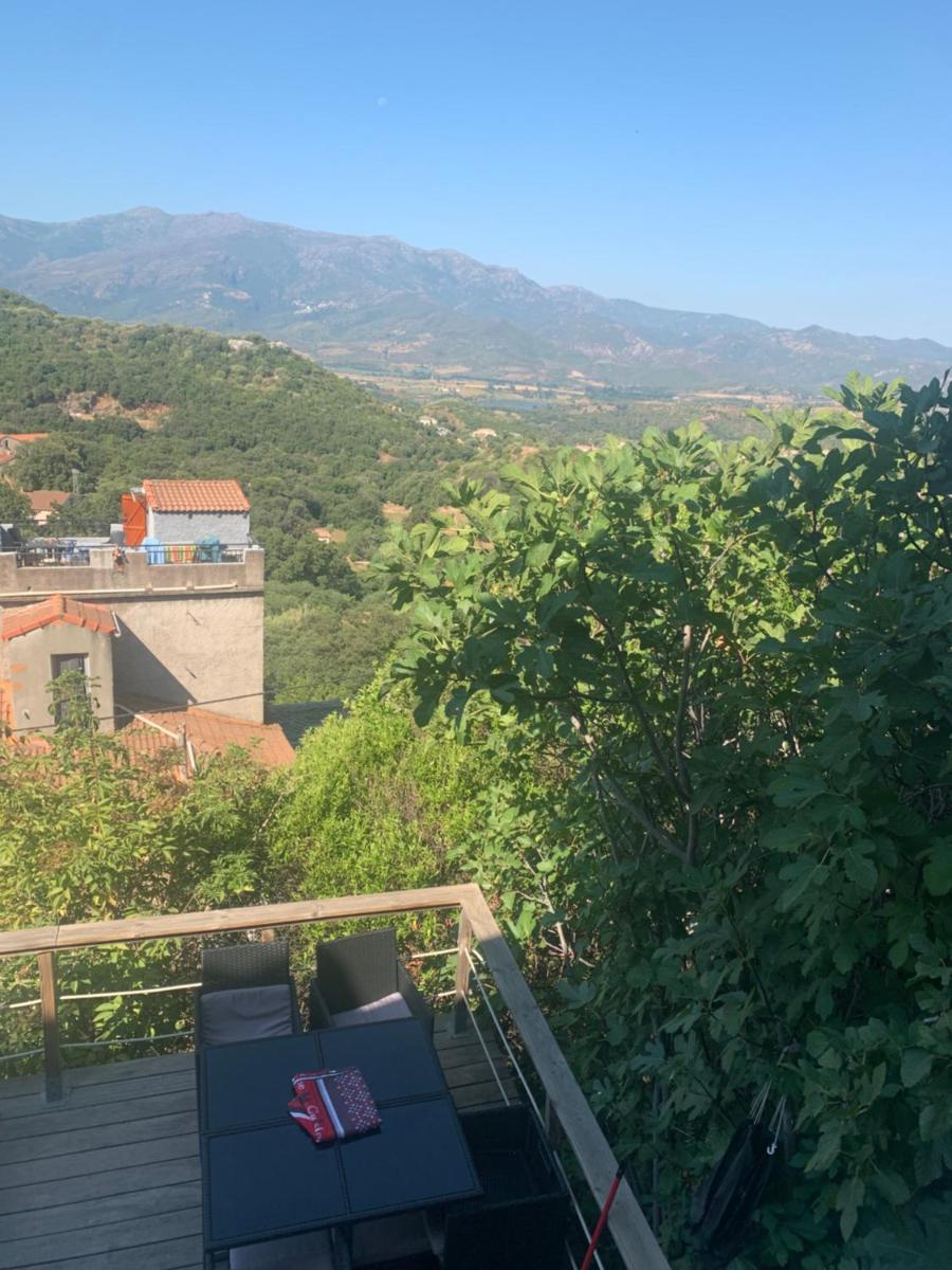 Maison typique Corse - Housity