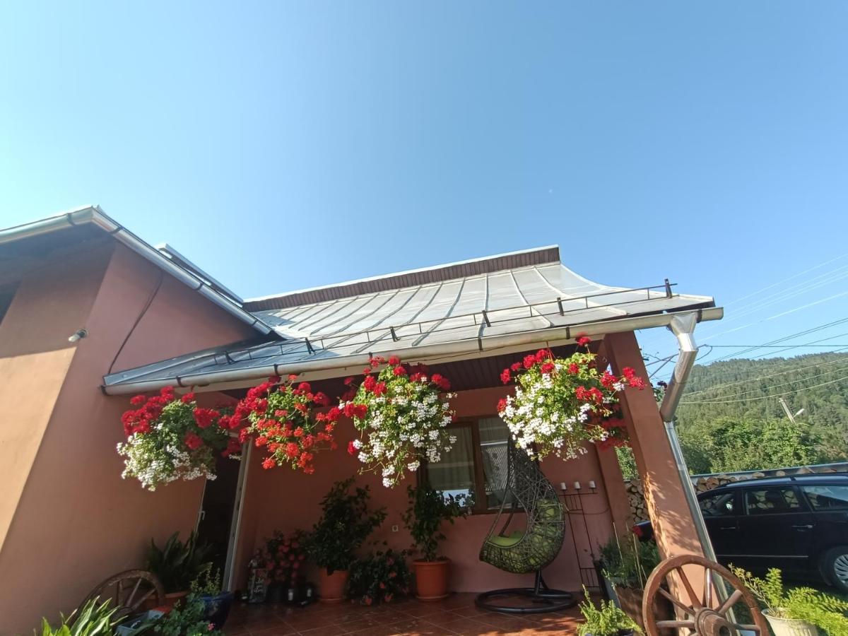 Casa Bizau - Housity