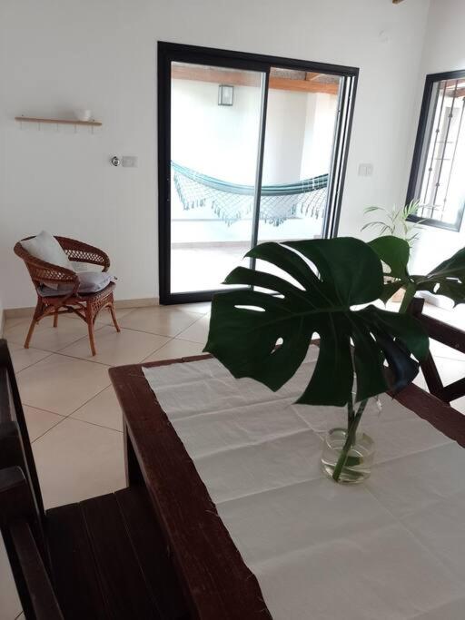 Casa Timbo: un abrazo al descanso - Housity