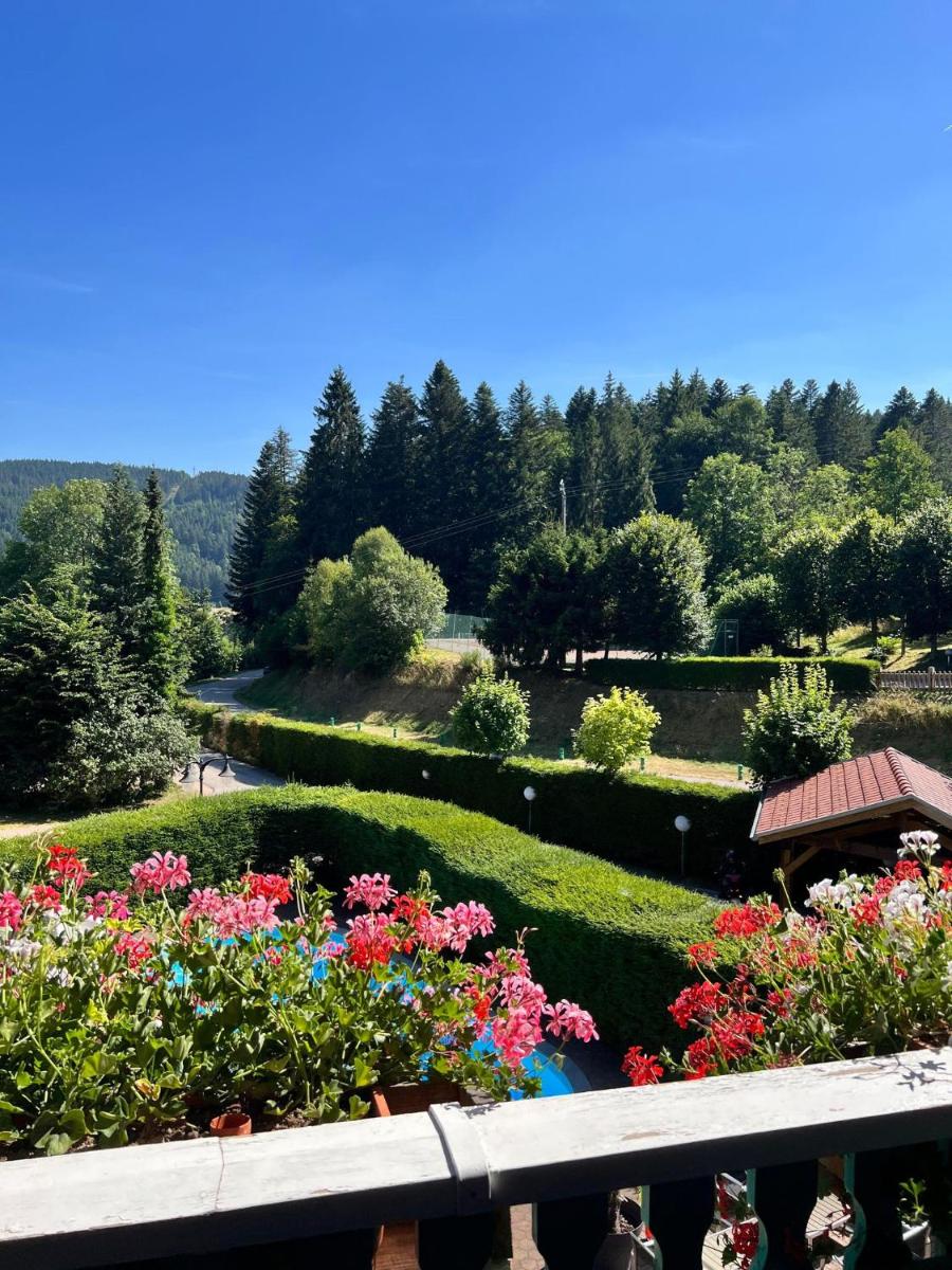 Jardin de l'établissement Hôtel-Restaurant Les Bas-Rupts, Singuliers Hôtel
