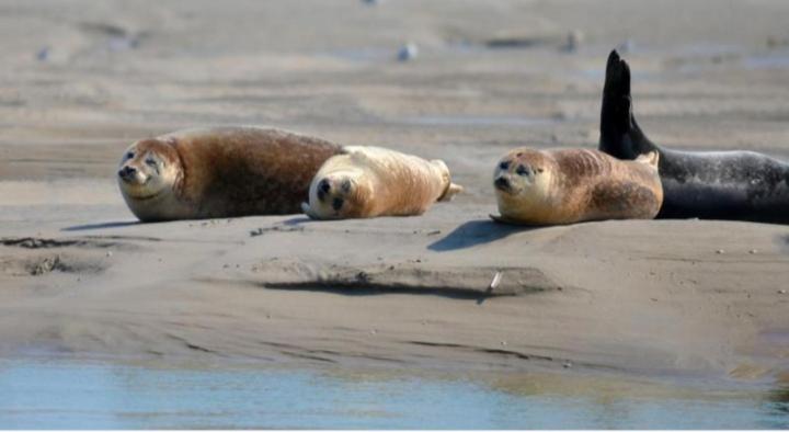 Gîte la Forestière - Housity